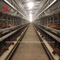 A maioria de tipo popular sistema automático de H da gaiola do cultivo de aves domésticas para a grande exploração agrícola Adela