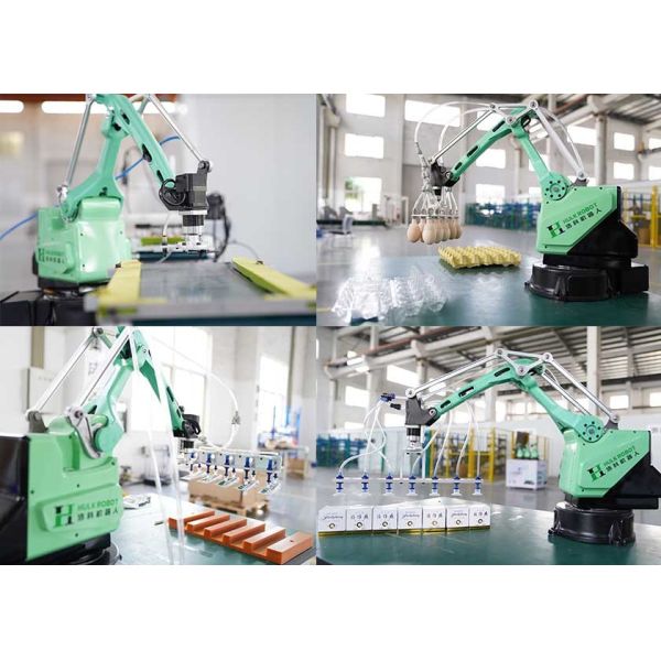 Полностью автоматическая хватая сортируя сотрудническая рука робота 1kg