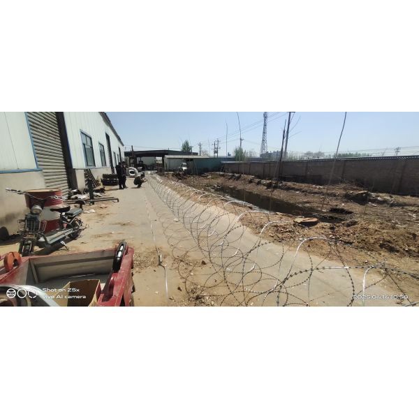 Горяче погруженный оцинкованный колючий лезвие Concertina проволока для борьбы с пиратством