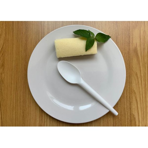 Compostable Disposable Cpla Cutlery 6.5 Inch Spoon