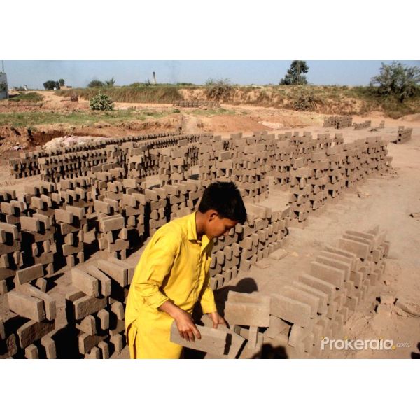 El secador y Hoffman de 52 puertas estofan la quema del horno de Hoffman de ladrillos
