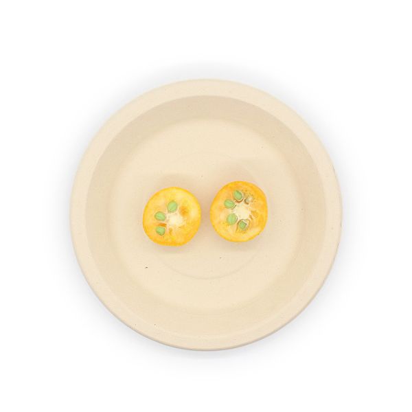 LFGB EU 14cm Handpainted Food Takeaway Boxes 5.5 Inch Round Sugarcane Bagasse Plates