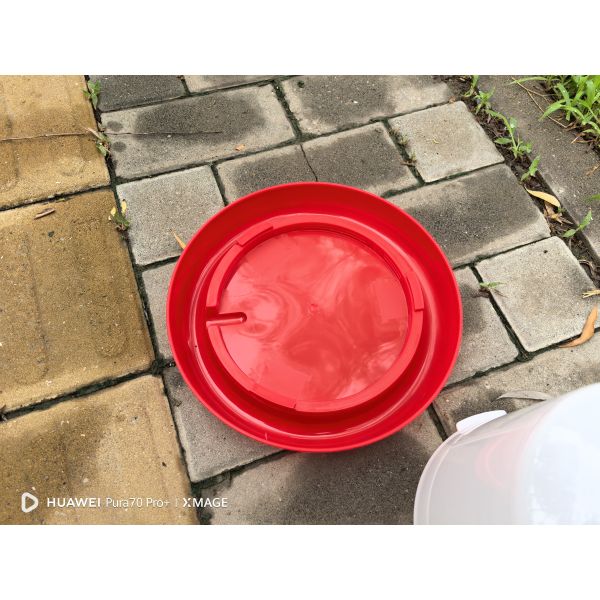 Easy Installation Poultry Drinker With Anti-drip Feature And Cone Shape Backyard Poultry