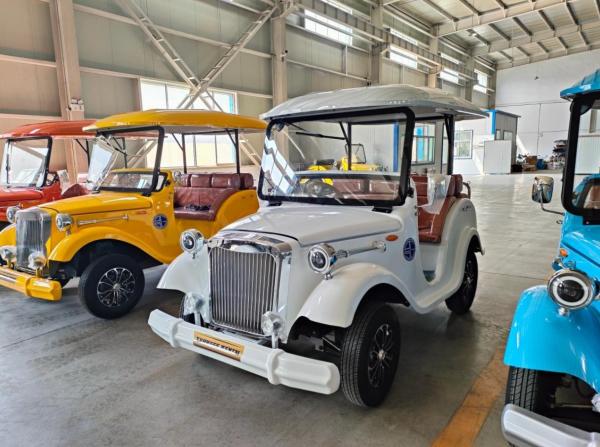 6 a 8 lugares Vintage Car Utility Lithium Evolution Sightseeing Car Factory preço no atacado
