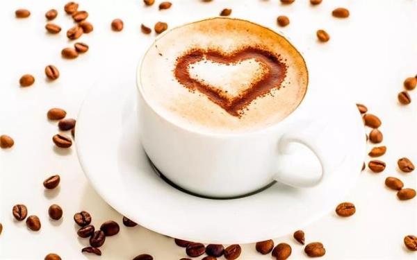 Commercial Bean to Cup Espresso Coffee Machine Stainless Steel