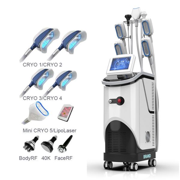 Productos que tienden superiores 2022 360 máquinas de Cryolipolyse Cryotherapy/máquina Cryolipolysis de Criolipolisis