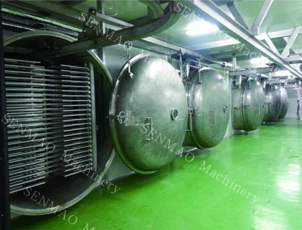 Rotary Drum Scraper Dryers For Energy Efficiency