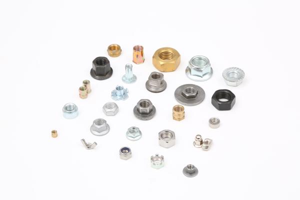 Cold Heading Customized Stainless Steel Nut Metric Systems DIN ISO Standard