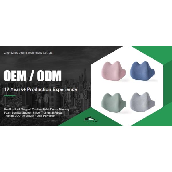 Customized Color Healthy Back Support Cushion for Extra Dense Memory Foam Lumbar Support