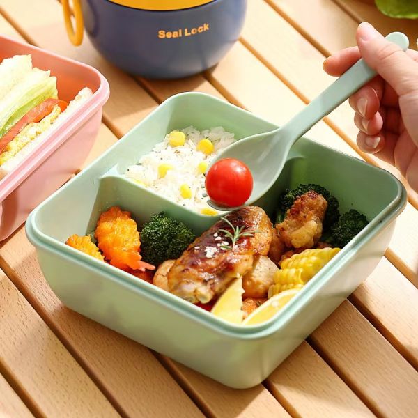 Reusable Portable Plastic Bento Lunch Box for All Applicable People at School Style