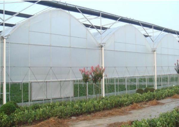 80m - 150m Plastic Film Greenhouse , Multi Span Greenhouse For Planter
