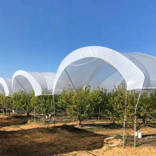Customized Color Plastic Cover Greenhouse For Blueberries Growth