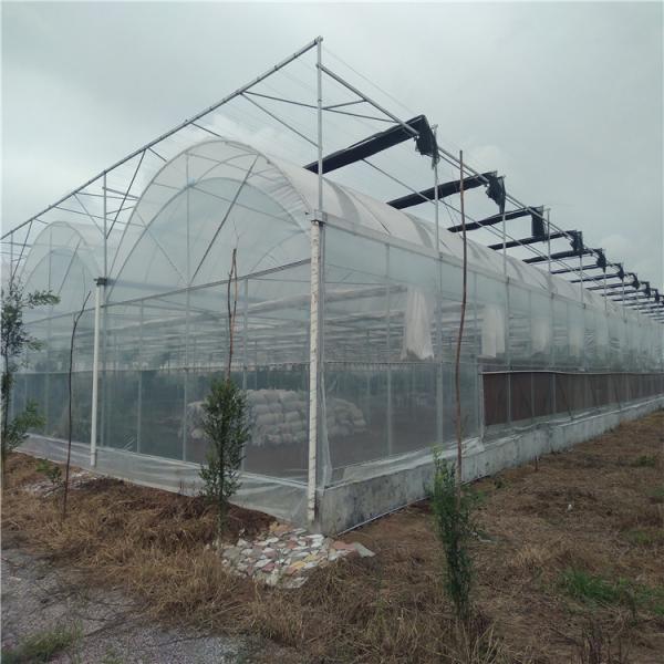 カスタマイズされた要求 原産地 野菜用二重弧線温室 20GP/40GP/40HC