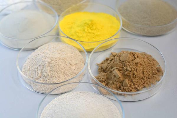 Pulping Enzyme Suitable For Papermaking And Pulping