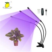 Lâmpada Phyto do espectro completo hidropônico da plântula do diodo emissor de luz de 60 PCes