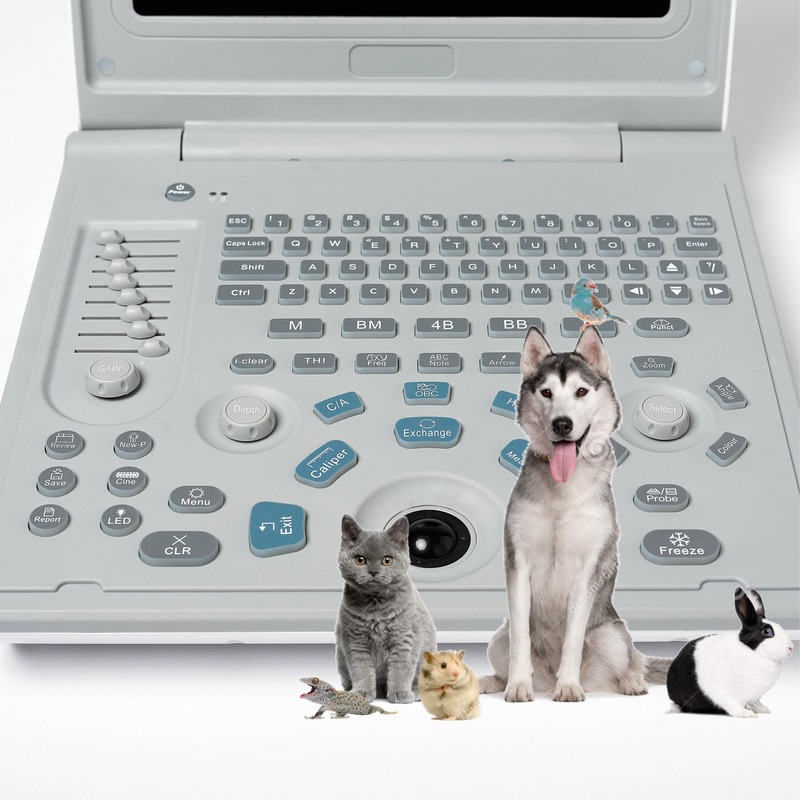 Hospital Outside Diagnostic Linear Ultrasound Machine Dog Ultrasound Machine Laptop Cow Pregnancy Sheep Scanner