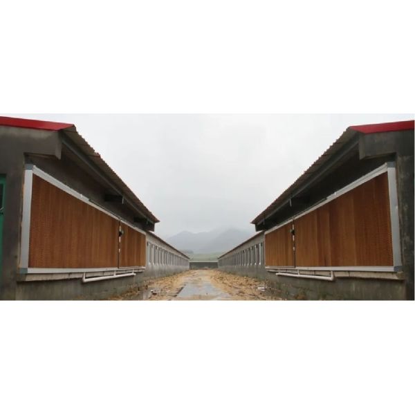 Floor Farming System Broiler Chicken House Poultry Feeders And Drinkers Farm Equipment