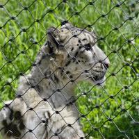 Zoo Sns Knotted Type Aviary Decorative Rope Stainless Steel Wire Mesh For Bird Cages