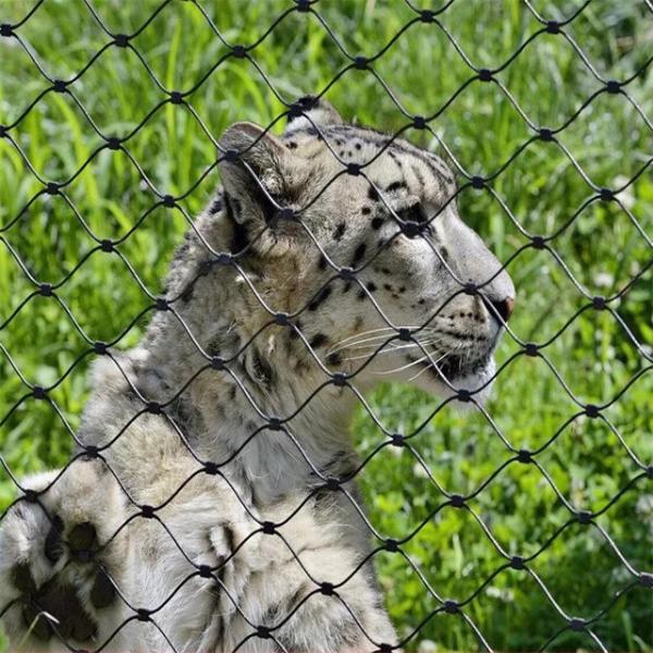 Zoo Sns Knotted Type Aviary Decorative Rope Stainless Steel Wire Mesh For Bird Cages