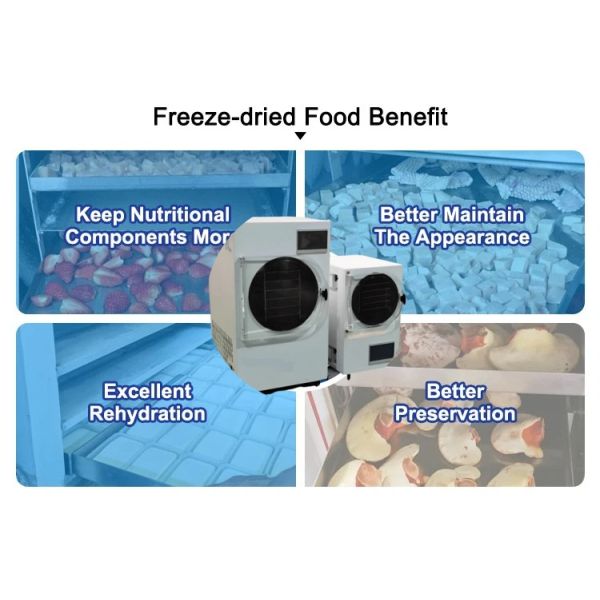 Вакуумный фруктовый морозильный сушильщик Toption China Mini Freeze Dry Machine