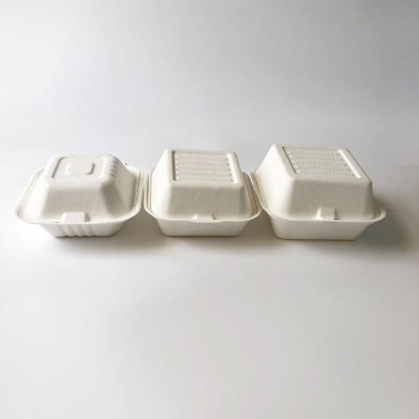 Eco-friendly customized fast food burger box with biodegradable clam shell