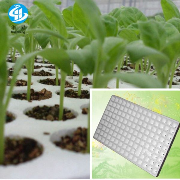 Computerized HS-CXJ-1750 EPS Sendling Tray Automatic Block Foaming Machine for Market