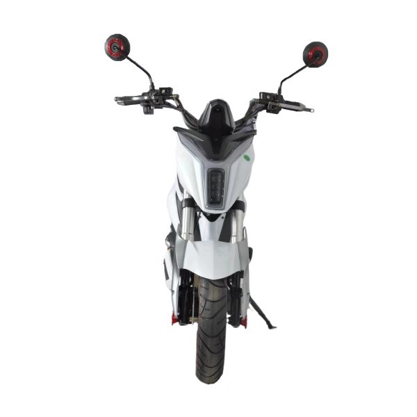 Citycoco Electric Scooter Motorcycle Adult  Handicap   1500w