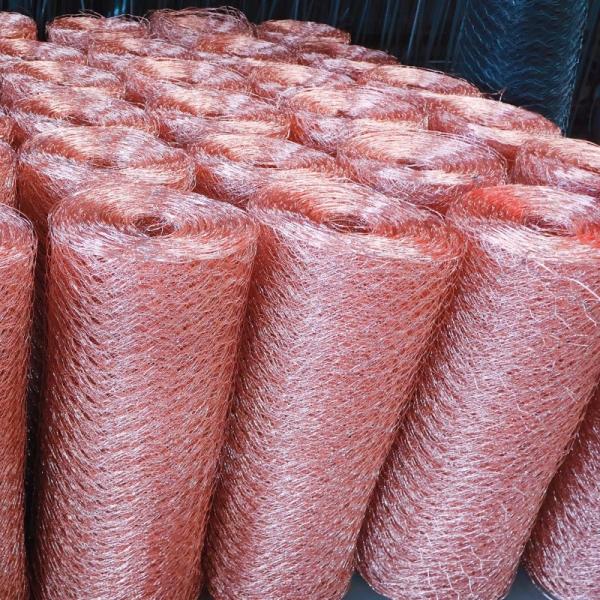 1X 20ga Hexagon Wire Mesh Chicken Wire Mesh Roll For Poultry Farm Mesh Net