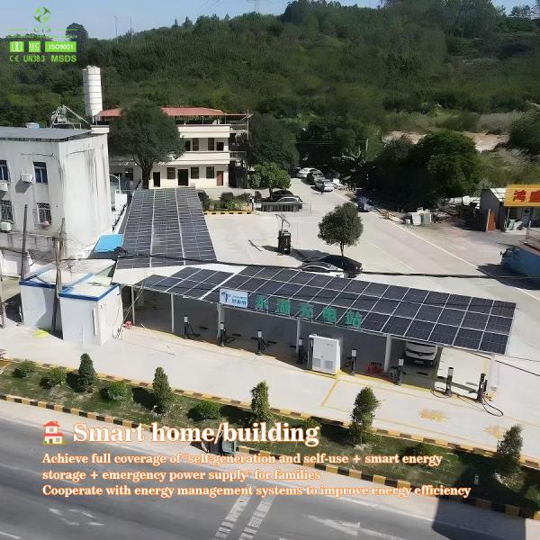 CTS Intergrated Solar EV Charging Station Solutions Solar DC EV Charger With Energy Storage Battery System and Solar PV Panels