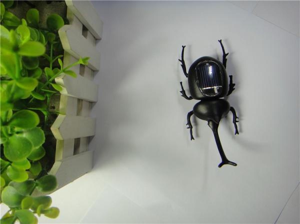 Conception personnalisée Jouets à énergie solaire Insecte solaire Cognitif Bébé Éducatif Bétail Jouet