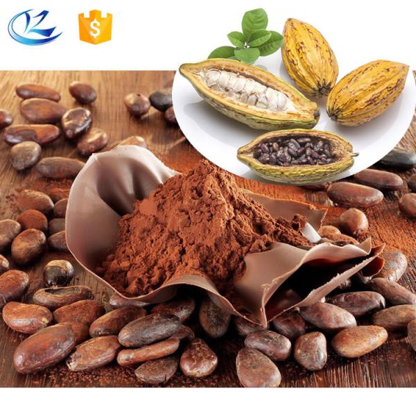 Poudre de cacao alcalisée du Ghana dégraissée en gros, 10-12% de matière grasse, pour boissons, boulangerie, confiserie, crème glacée