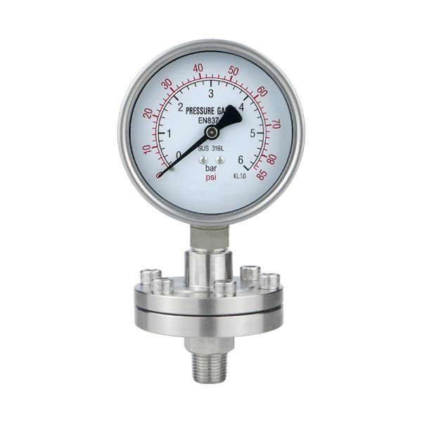 Thread G Connection 304 Stainless Steel Diaphragm Pressure Gauges for Hydraulic System