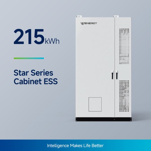 100kW / 215kWh Liquid-Cooled BESS Cabinet for Commercial Applications
