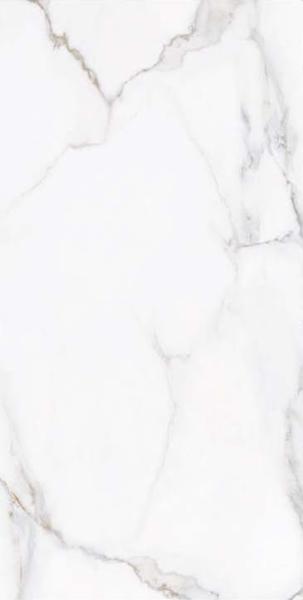 Zeus Ares Porcelain Glass Glazed Ceramic Floor Tile 600*1200/Mm²
