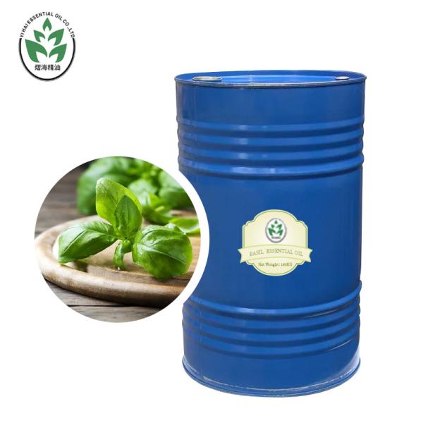 OEM Anti Inflammation CAS 8015-73-4 Holy Basil Essential Natural