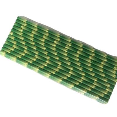 Everyday Bamboo Ecologic Paper Straw Package for Sustainable Living Alternatives