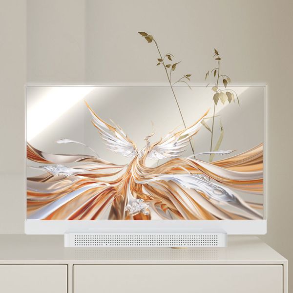 OEM ODM Transparent OLED Screen , 55 Transparent OLED Display