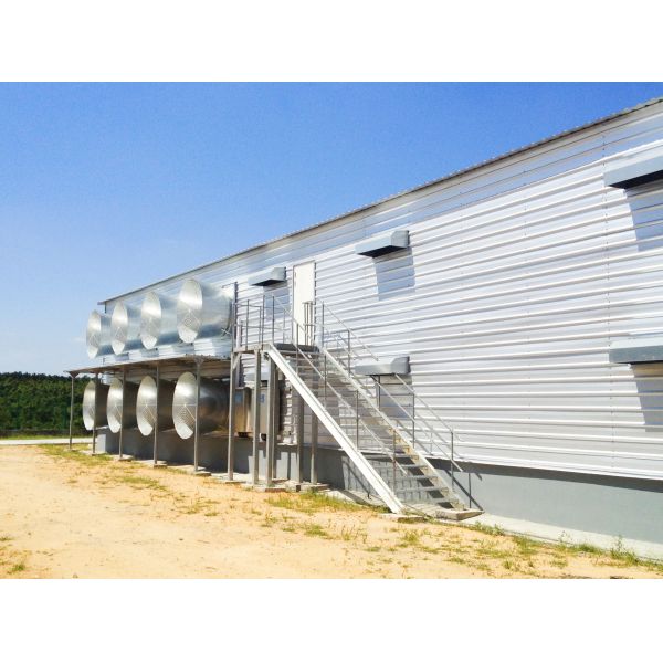 Broiler Poultry Prefab Houses Steel Structure Fully Automated Chicken Farming Equipment
