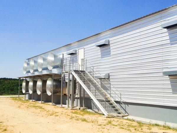 鉄骨構造の鶏舎 - 完全自動化された養鶏設備