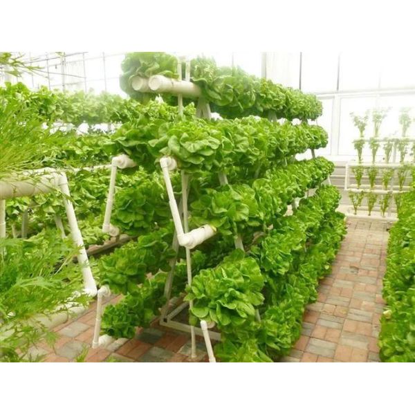 Теплица для судоходных контейнеров для гидропонного вертикального земледелия в коммерческой промышленности