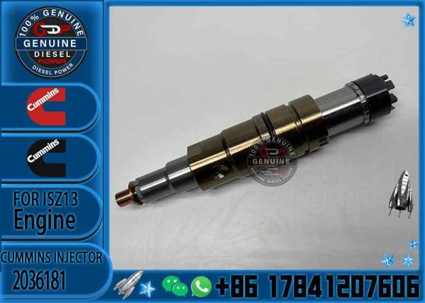 For Scania Unit Injectors XPI Model 2057401 2036181 2031835 574423 1933612 575176 Injection Valves Product Category