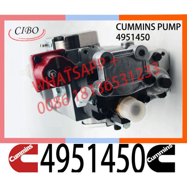 Surtidor de gasolina de la pinta de la BOMBA de Cummins pinta 3075882 4951450 para la BOMBA de NTA855 /NT743/NT495 pinta