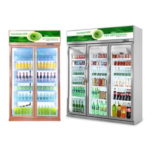 Коммерческий вертикальный пивной охладитель двойные стеклянные двери холодная кока-кола дисплей холодильник