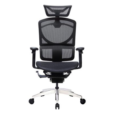 Home Meeting Mesh Desk Office Chair With Back Support Adjustable