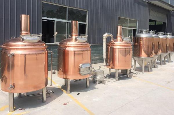 50L-100L Home Brewing Beer Equipment/ Micro Small Brewery Systems/Small Beer Production Equipment