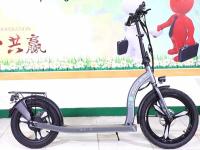 cycle électrique du scooter 36-48V avec la batterie démontable 30km/H