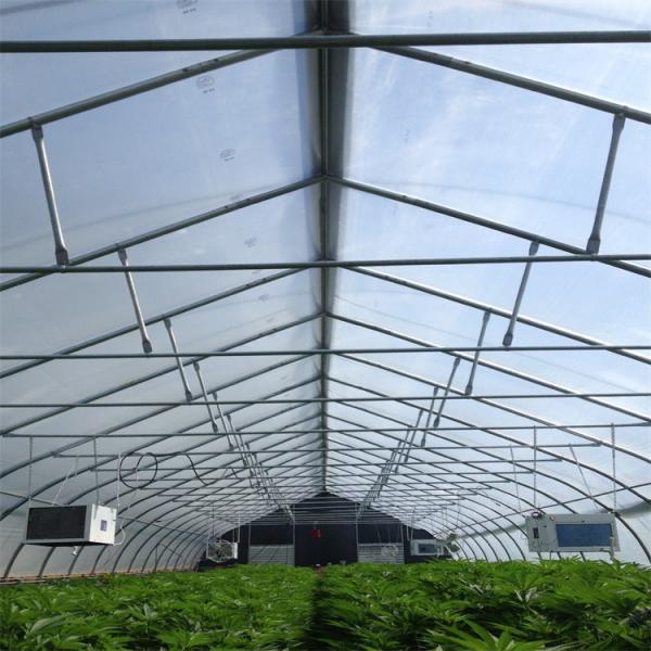 Da estufa automática do escurecimento do filme do túnel agricultura americana hidropônica Dep claro