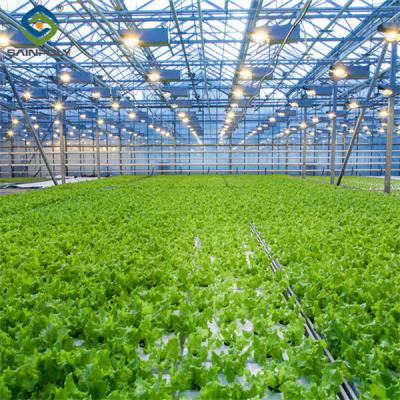Large Size Vertical Hydroponic Greenhouse Stable Structure Easily Assembled