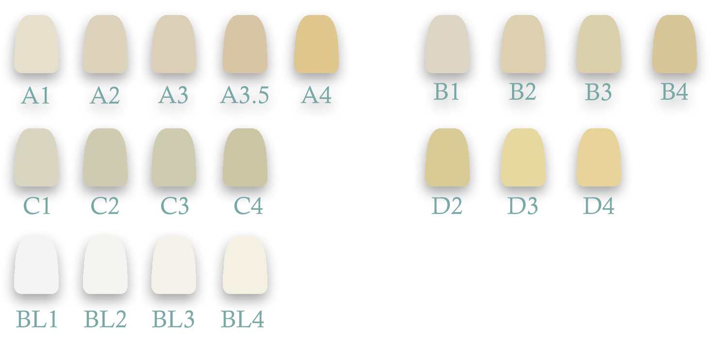 Стеклянный керамический зубоврачебный пробел Zirconia для зубоврачебной лаборатории CAD CAM