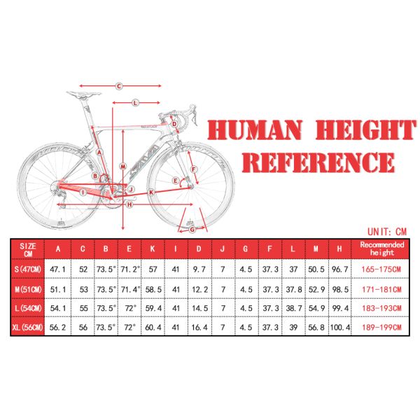 SAVA Phantom3.0 Carbon Fiber Street Bike 56cm With Shifter Lever